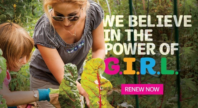 Renew_Council_Web_Template_NoPatch_655x360 Renew_Council_Web_Template_NoPatch_655x360